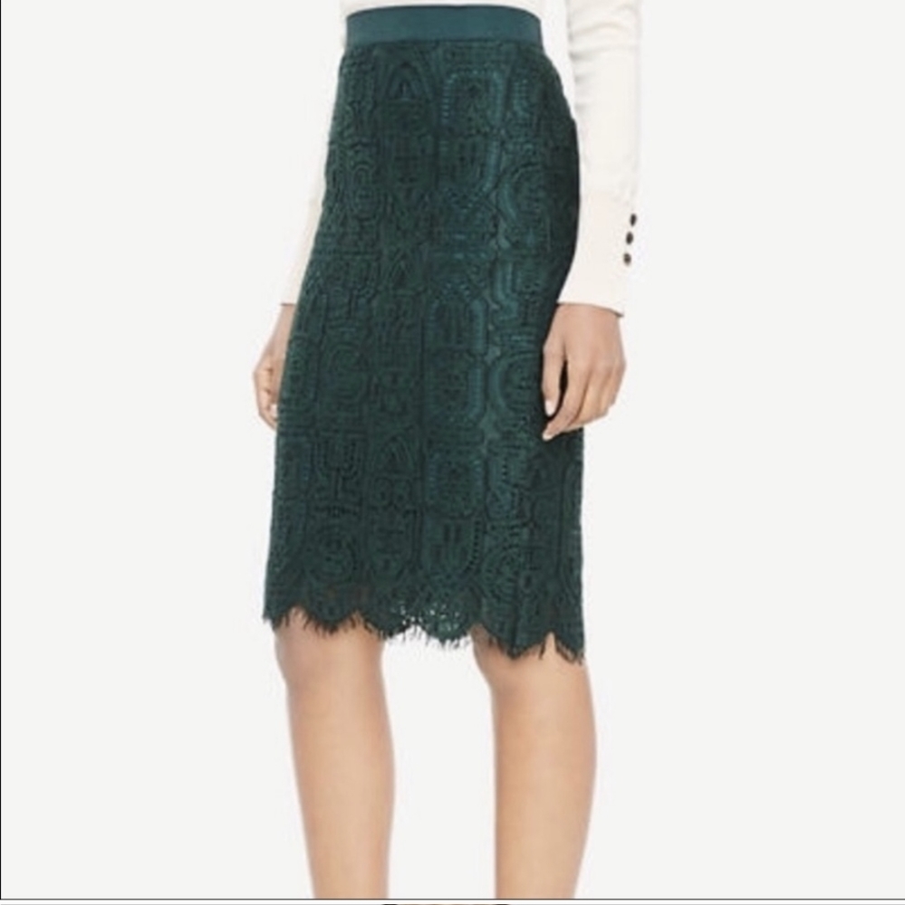 Ann Taylor Green Lace Skirt NWT